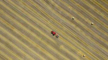 Aerial view of haymaking processed into round bales. Red tractor works in the field video