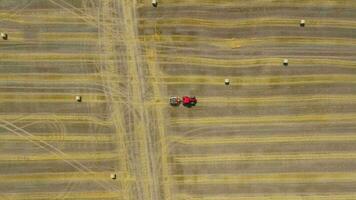 Aerial view of haymaking processed into round bales. Red tractor works in the field video