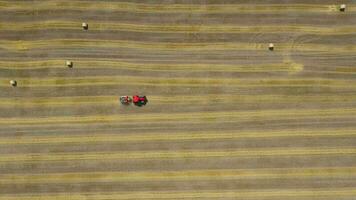 Aerial view of haymaking processed into round bales. Red tractor works in the field video