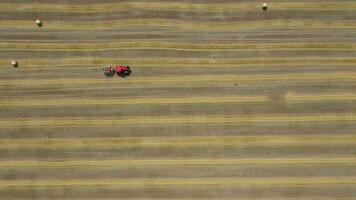 Aerial view of haymaking processed into round bales. Red tractor works in the field video