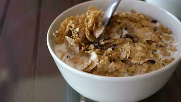 sabroso desayuno - Leche es vertido dentro un cuenco con copos de maíz y chocolate papas fritas video