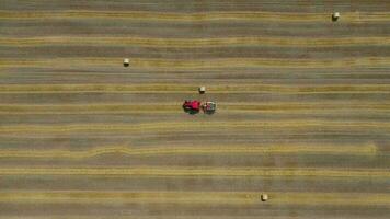 Aerial view of haymaking processed into round bales. Red tractor works in the field video