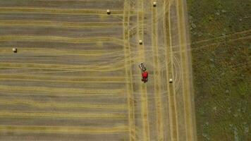 aéreo ver de henificación procesada dentro redondo fardos rojo tractor trabajos en el campo video