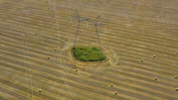 aereo Visualizza di il campo durante fienagione. il giro mucchi di fieno siamo sparpagliato attraverso il campo. alto voltaggio energia Linee attraversare il campo video