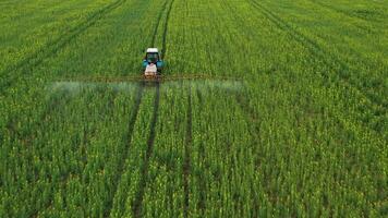 aéreo ver de tractor trata agrícola plantas en el campo video