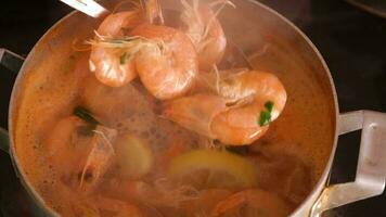 Cooking shrimp in garlic-cream sauce closeup video