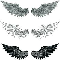 Angel wings vector design