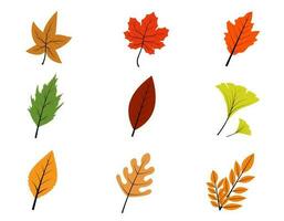 Set Colorful Leave for Autumn Season concept. vector