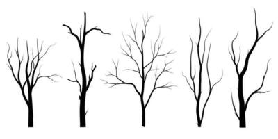 conjunto de siluetas de árbol de rama negra o árboles desnudos. ilustraciones aisladas dibujadas a mano. vector