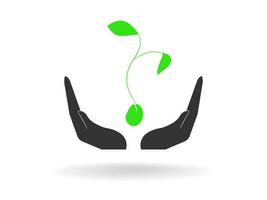 Plant and root with green leaves look beautiful and refreshing.Tree and roots LOGO style. Save tree logo concept. vector