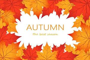 Tree and leaves for Autumn season background style. Welcome Autumn season concept. vector