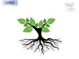 Trees and root with green leaves look beautiful and refreshing. Tree and roots LOGO style. vector