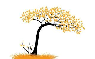 trees and grass that is dry With fallen leaves in the autumn season. vector