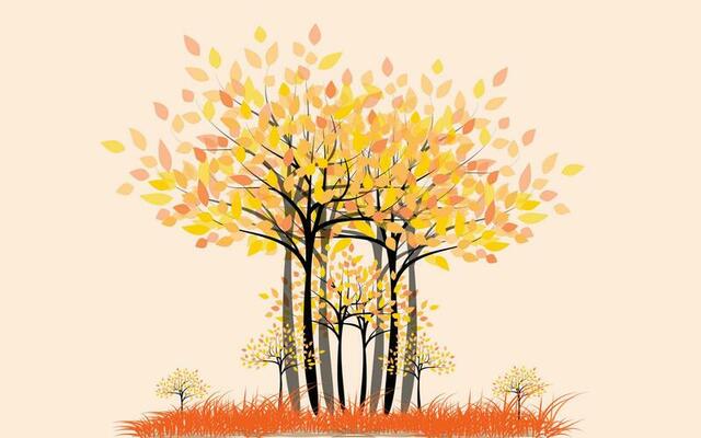 trees and grass that is dry With fallen leaves in the autumn season.