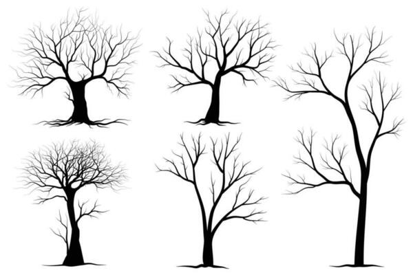 Black Branch Tree or Naked trees silhouettes set. Hand drawn isolated illustrations.