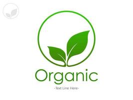 Plant and root with green leaves look beautiful and refreshing. Tree and roots LOGO style. vector