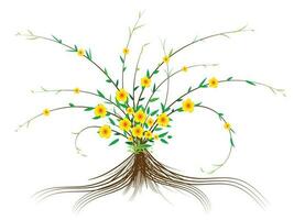 The small trees in the garden have yellow flower, red pollen and swaying branches. vector