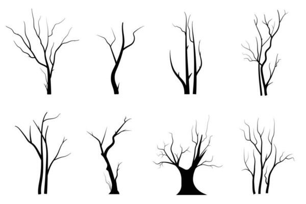 Black Branch Tree or Naked trees silhouettes set. Hand drawn isolated illustrations.