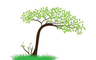 Big tree with green leaves looks fresh. And green grass Can be used for your work. vector