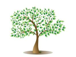 grande árbol con verde hojas mira fresco. y lata ser usado para tu trabajar. vector