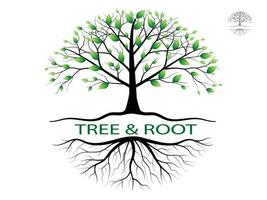 Trees with green leaves look beautiful and refreshing. Tree and roots LOGO style. vector