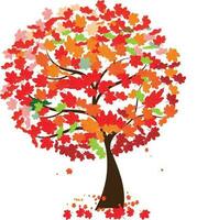 Big tree and leaves that is dry. Tree in the autumn season concept. vector