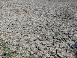 Cracked Land, Dried cracked earth soil ground texture background. photo