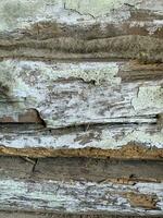 Wooden background, old rotten wood structure. Studio Photo