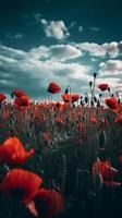 Poppy flower background for Anzac day. Illustration photo