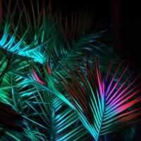 Neon palm leaves. Illustration photo