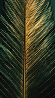 Palm leaf background. Illustration photo