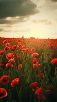 Poppy flower background for Anzac day. Illustration photo