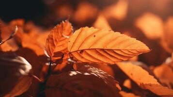 otoño hojas antecedentes ilustración ai generativo foto