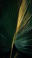 Palm leaf background. Illustration photo