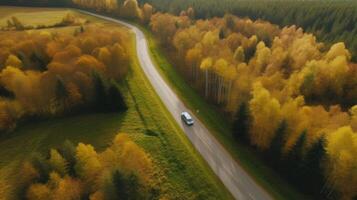 Drone view autumn forest road. Illustration photo