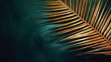 Palm leaves background. Illustration photo