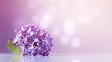 Lilac flower bokeh background. Illustration photo