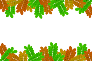 Frame of green leaves and flower. Wallpaper by green leaves and beautiful green leaf. png