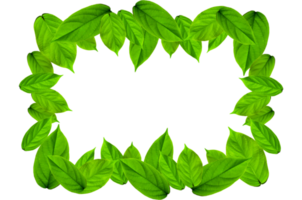 kader van groen bladeren en bloem. behang door groen bladeren en mooi groen blad. png