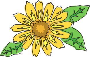 single doorlopend lijn tekening van schoonheid vers goudsbloem voor huis muur decor poster. afdrukbare decoratief calendula bloem voor bruiloft kaart uitnodiging. modern een lijn trek ontwerp illustratie png