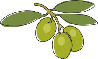 One single line drawing of heap healthy organic olive fruit for garden logo identity. Fresh core ingredients concept for fruit icon. Modern continuous line draw design graphic illustration png
