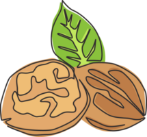 Single continuous line drawing whole healthy organic walnut and leaves for orchard logo identity. Fresh nutshell concept for healthy seed icon. Modern one line draw design graphic illustration png