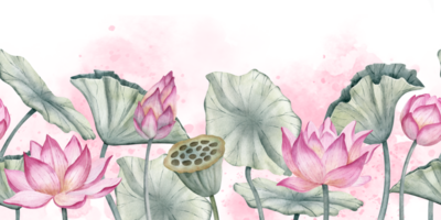 loto flor sin costura borde. mano dibujado acuarela ilustración de agua lirio rosado plantas en aislado antecedentes. floral modelo para marco o spa zen bandera. dibujo de agua lirio con verde hojas. png