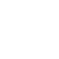 patroon met sneeuwvlokken png