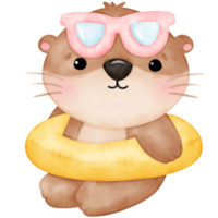 mignonne loutre, été, mignonne animal, bassin faire la fête, aquarelle loutre png