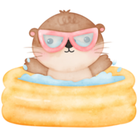 linda nutria, verano, linda animal, piscina fiesta, acuarela nutria png