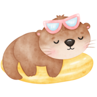 Cute Otter, Summer, Cute Animal, Pool Party, Watercolor Otter png