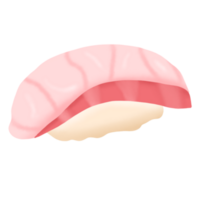 mano dibujado Sushi ilustración png