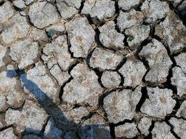 Cracked Land, Dried cracked earth soil ground texture background. photo