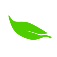 icône de feuille verte png